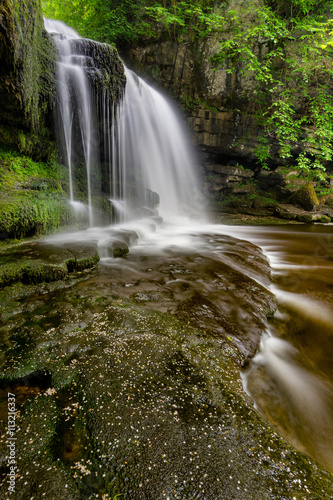 Fresh flowing vibrant waterfall in the Yorkshire Dales National Park with summer foliage.