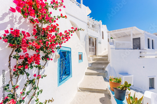 Fototapeta Traditional cycladic whitewashed street with blooming bougainvillea in the summer, Santorini, Greece