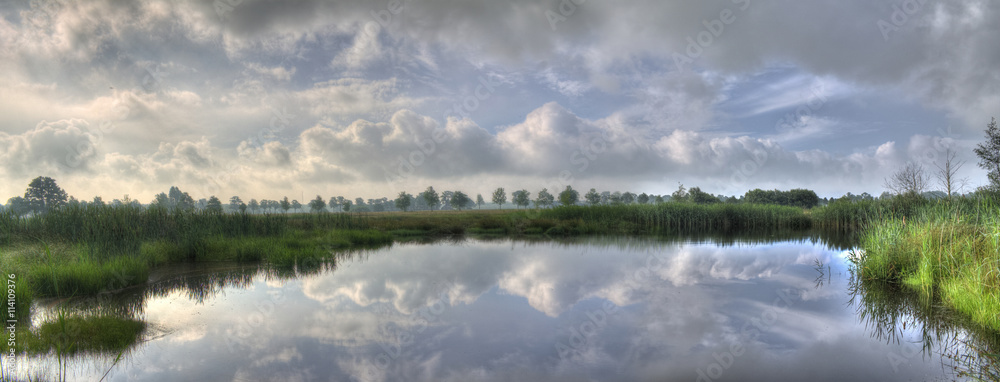 Hollandse spiegel