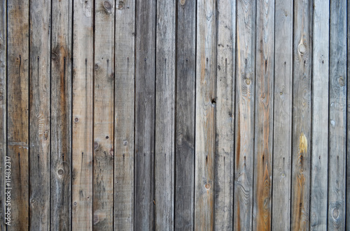 Texture of vertical wood plank