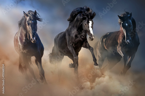 Obraz na płótnie Three horse with long mane run gallop in sand