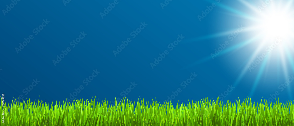 Sommerwiese