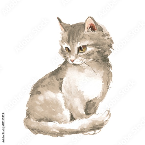 Cat 1. Gray fluffy kitten. Watercolor painting