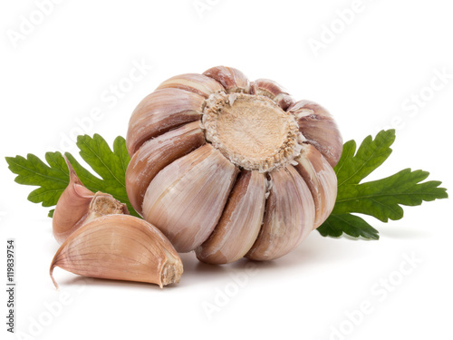 Garlic bulb and parsley herb still life isolated on white backgr