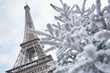 Christmas tree covered with snow near the Eiffel tower Christmas tree covered with snow near the Eiffel tower