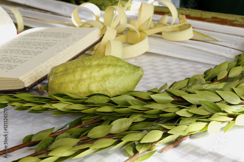 Zdjęcie XXL Cztery gatunki używane na święto żydowskie Sukkot gotowy do złożenia na tle świętej księgi