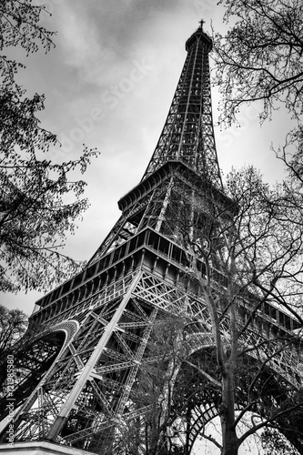 Fototapeta Tour Eiffel