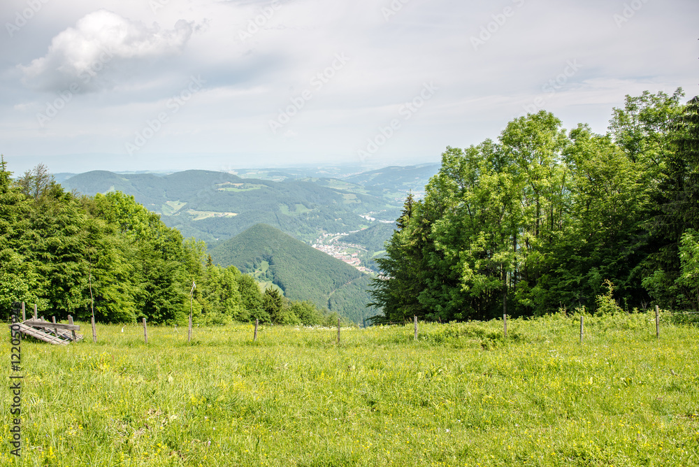 Alm mit Blick ins Tal