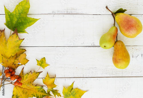 Autumn colors: yellow leaves, orange berries, fragrant pears, arranged in a frame in the middle of an empty space for your inscription. On a white wooden background. The top view.