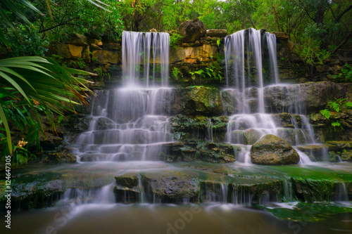  Waterfall in the Forest