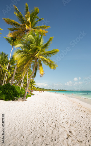 Fototapeta Saona Island in Punta Cana, Dominican Republic