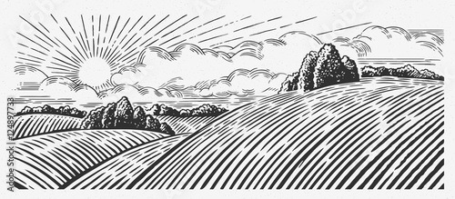 Rural landscape with hills, in the graphic style, illustration is hand-drawn.