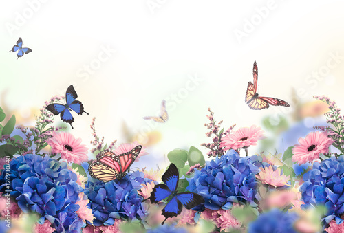  Amazing background with hydrangeas and daisies. Yellow and blue flowers on a white blank. Floral card nature. bokeh butterflies.