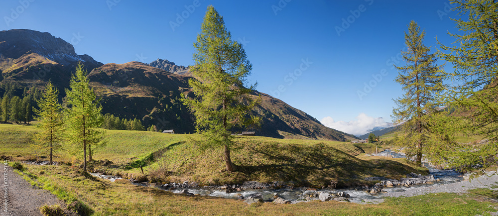 Alpenlandschaft im Sertgtal mit Lärchen und Bergbach, Schweiz