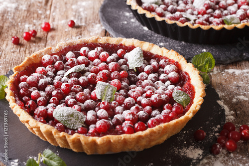 Zdjęcie XXL Świeżo upieczony tarta żurawinowa z cukrem pudrem i mięty z bliska. poziomy