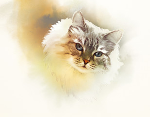 Cute cat. Watercolor portrait of a cat. Drawing of a cat with blue eyes executed in watercolor. Good for print T-shirt. Hand painted watercolor cat illustration. Art background, banner for pet shop.