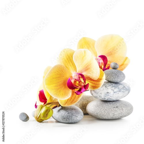  Yellow orchid flowers and spa stones