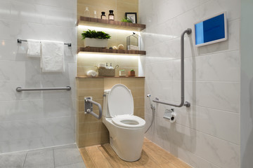 Interior of bathroom for the disabled or elderly people.