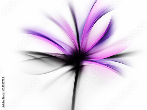 Fototapeta Purple Flower Design Abstract Background