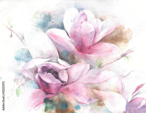 Plakat Magnoliowy kwiatu drzewa tulipanu magnolii akwareli obrazu ilustraci drzewny kartka z pozdrowieniami