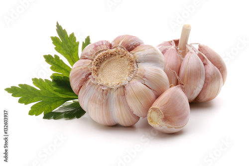 Garlic bulb and parsley herb still life isolated on white backgr