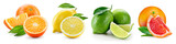 Fruit compositions with leaves isolated on white background. Ora