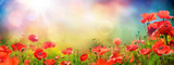 Poppies Field At Sunset