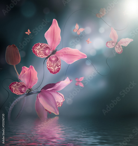  Amazing butterflies from the petals of orchids, floral background. Flowers and insects.