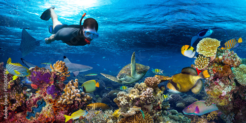 Plakat młody mężczyzna snorkler odkrywania kolorowe podwodne świat rafy koralowej z wielu ryb morskich żółwia rekina snorkling tle