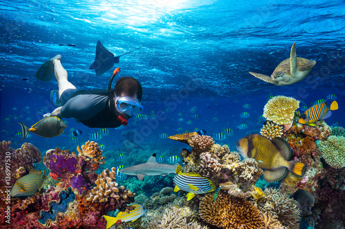 Plakat młody mężczyzna snorkler odkrywania kolorowe podwodne świat rafy koralowej z wielu ryb morskich żółwia rekina snorkling tle