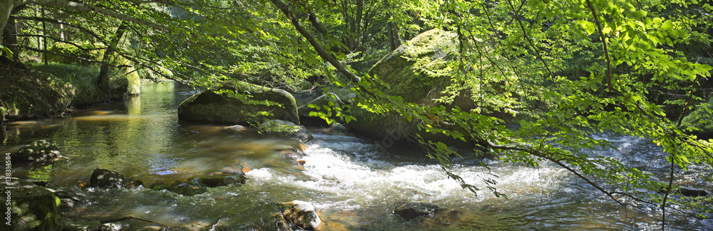 Aisttal im Sommer, Pregarten, Mühlviertel, Oberösterreich, Österreich