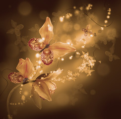 Amazing butterflies from the petals of orchids, floral background. Flowers and insects.