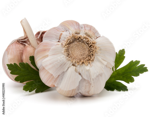 Garlic bulb and parsley herb still life isolated on white background cutout