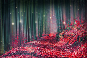 Magic fairytale forest with fireflies lights and mysterious road
