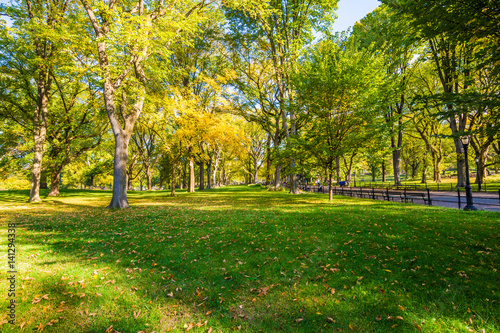 Zdjęcie XXL Piękny park w pięknym mieście. Centralny Park. Centrum handlowe teren w central park przy jesienią, Miasto Nowy Jork, usa