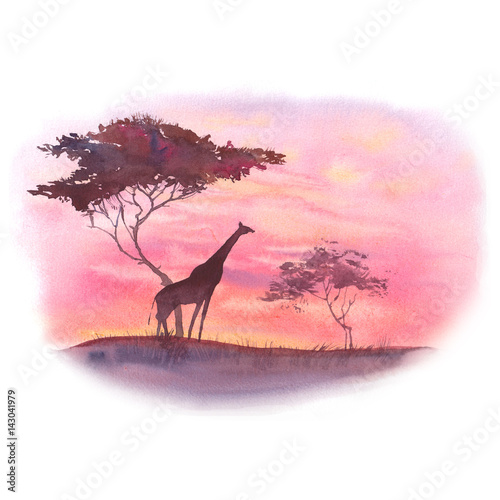 Obraz na płótnie Watercolor landscape: african desert sunrise. Hand painted nature view with trees, clouds sky and giraffe silhouette. Beautiful safari scene