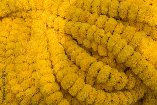 Zdjęcie XXL Żółte girlandy Marigold na sprzedaż w Mullick Ghat Flower Market, Kalkuta