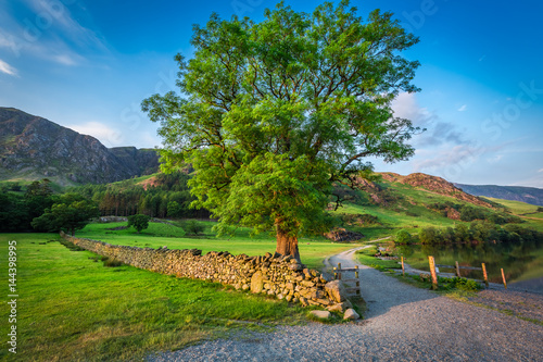 Wonderful sunset with big tree on meadow, District Lake