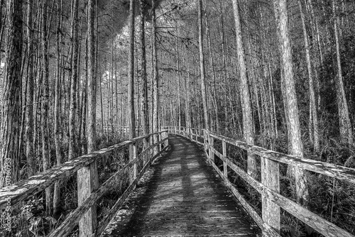 Fototapeta na wymiar Corckscrew Path