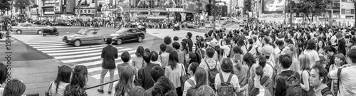 Plakat TOKIO, CZERWIEC, - 1, 2016: Panoramiczny widok Shibuya skrzyżowanie z ludźmi przy zmierzchem. Shibuya to popularna dzielnica Tokio