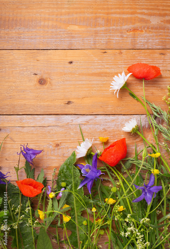 Blumenwiese - Sommerblumen vor Holzwand