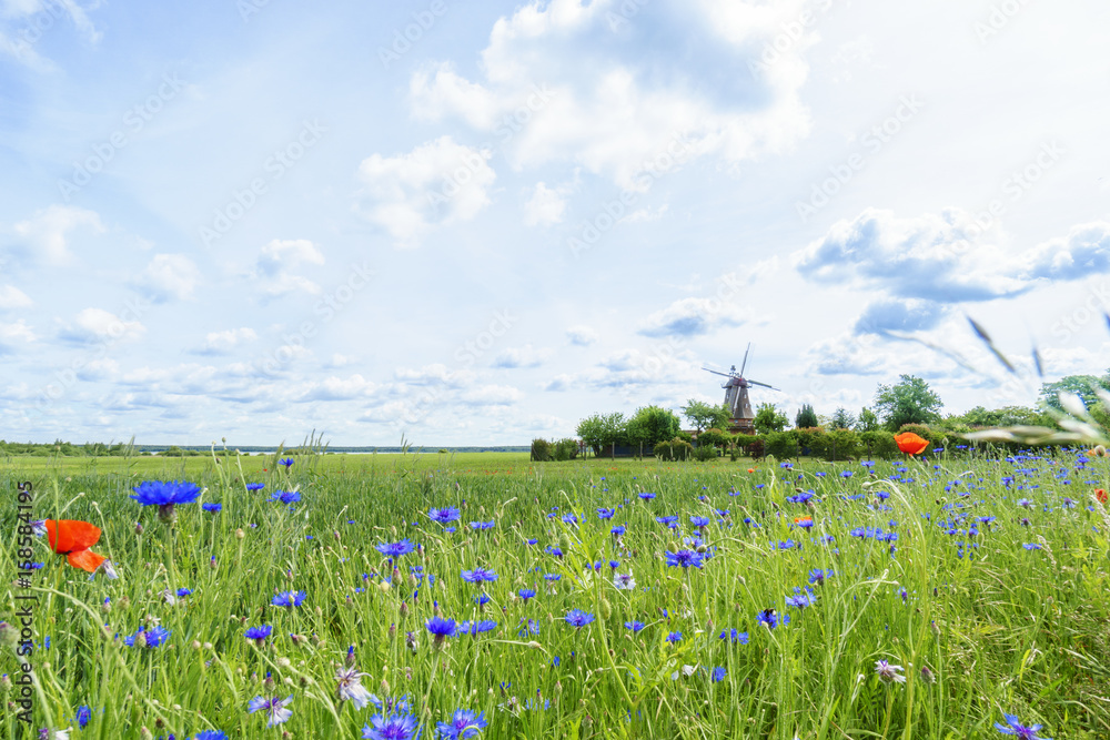 Wasser, Wind und Weite: Mecklenburg-Vorpommern 
