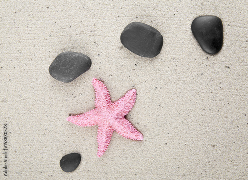 Fototapeta pink starfish and stones