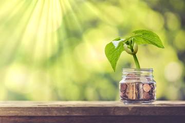 plant growing out of coins