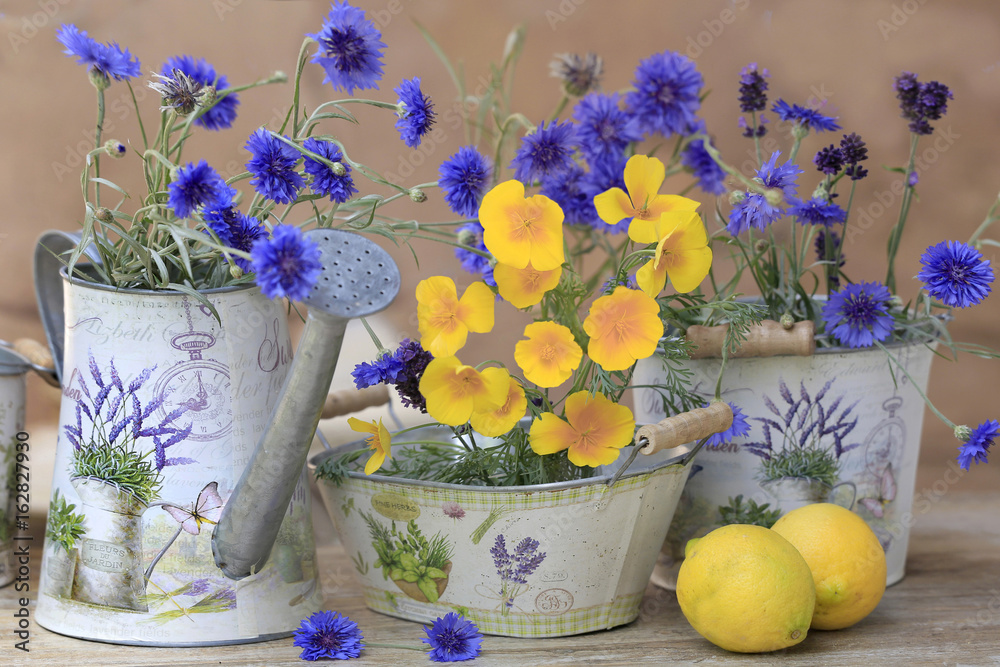 Kornblumen und Mohnblumen in dekorativen Gefäßen