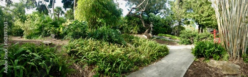  Panoramic view of a pebble path inside the Miami Beach Botanical Garden in Florida (United States of America) with a beautiful Japanese garden including giant bamboo and lush asian greenery