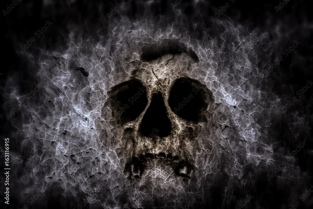 skull art grey 2