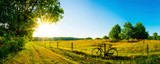 Landschaft im Sommer mit Bäumen und Wiesen bei strahlendem Sonnenschein