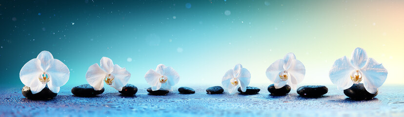 Orchids In Row On Spa Stones In Fresh Background
