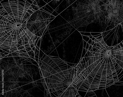 Plakat Pająk sieci sylwetka przeciw czerni ścianie - Halloween tematu ciemnego tło